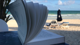 8 - Chant de l'épopée