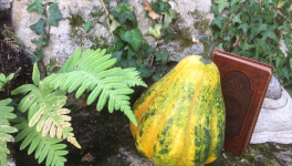 RECETTE POUR VOIR LES FÉES