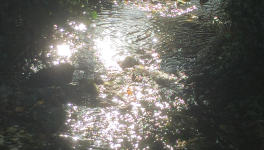 Le jardin du 19 Juillet