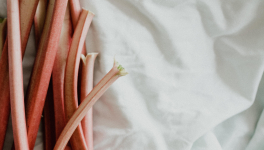 Gâteau moelleux à la rhubarbe