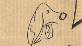 Footing sous la pluie