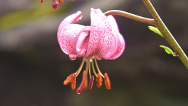 Chapitre 6 : L’aventure… commence