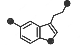 The Chemistry behind our happiness