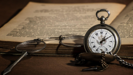 23/11/2022 : Râblé et faconde. 