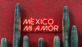 Siempre Mexico !
