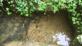 Le jardin du 9 Juillet