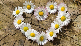 Coeur à coeur