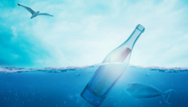 BOUTEILLE   A  LA  MER