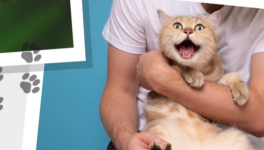 Chat-suffit
