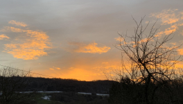 Le jardin du 20 Janvier