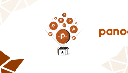 Panodyssey Pro: los conceptos básicos