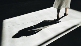 L’Ombre et la proie