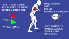 Le Bayesian Curl