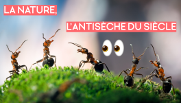 La Nature, l'Antisèche du siècle !