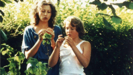 Le Rayon vert (Eric Rohmer, 1986)