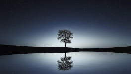 Le lac de mon miroir