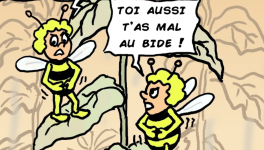 Pour ou contre le glyphosate ?