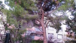 France2 ne manque pas de dérision en essayant la promotion de la défense de l’environnement 