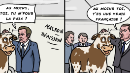 Oreillette, la super star du Salon de l'Agriculture !