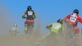 Fabio décoré par le Président de la République 