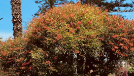 Aux portes de l'Atlas