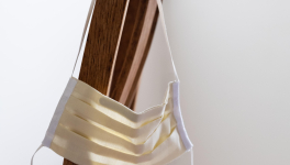 Le débat du 13 mars pour la fête de la forêt entre virus, bois et escargots