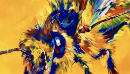 On The Mountain Road ❤️