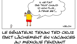 Le sénateur qui soutenait les Texans