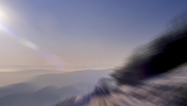 La particule particulière