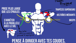Le rowing vertical