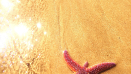 La pensée vient d'ailleurs...