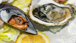 Coquille