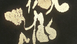 LE BOUCLIER DES TRACES