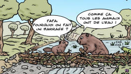 les castors et la biodiversité 