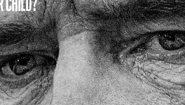 Your Honor - Saison 1