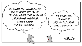 Le rat qui parlait comme Jean-Claude Van Damme