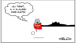 Rat du Tibet