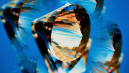 Migration sauvages... image libre de droit de  Dmytro Bayer .