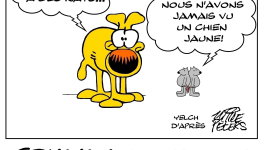 Le chien Grimmy rencontre les rats