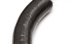 Phallus