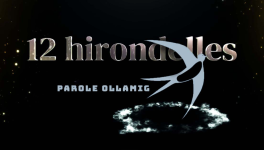 12 hirondelles