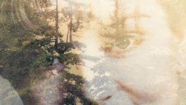 Twin Peaks - Saison 3 : The Return