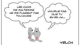 Les choix d'une femme