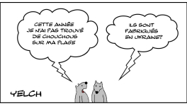 Chouchous on the beach