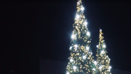 II - Chant de l'hiver naissant