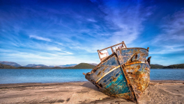 Elle fait la guerre aux hommes