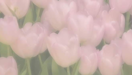 Et vous, que pensez-vous de 𝘭'𝘈𝘳𝘵 𝘥𝘦𝘴 𝘮𝘰𝘵𝘴?