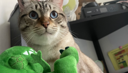 La Faim des Dinosaures - partie 1