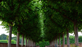 Épisode 21 - Une révélation douloureuse