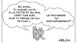 Les rats qui parlaient du nouveau reconfinement